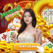 Tipminer brabet double