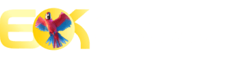 Czrbet com - Maximabet
